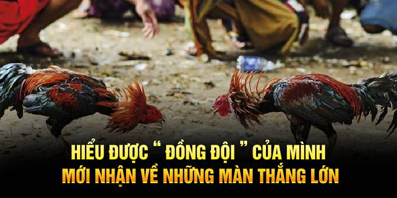 Hiểu được “ đồng đội ” của mình mới nhận về những màn thắng lớn