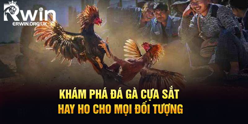 Khám phá đá gà cựa sắt hay ho cho mọi đối tượng