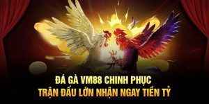 Đá gà vm88 chinh phục trận đấu lớn nhân ngay tiền tỷ