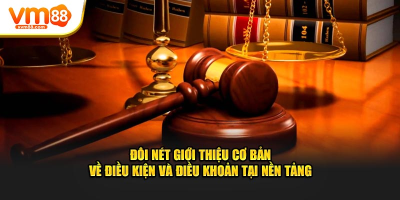 Đôi nét giới thiệu cơ bản về điều kiện và điều khoản